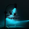 night bird Podcast