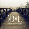 Novel