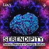 Serendipity copertina