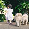 Eishuの雑学王子channel portada