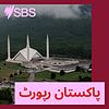 پاکستان رپورٹ