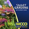 WCCO's Smart Gardens cover