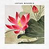 Lotus Reverie – Eastern Meditation & Ambient Music for Relaxation and Sleep