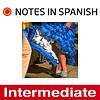 Notes in Spanish Intermediate