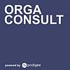 Orga Consult - Organisationsberatung