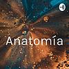 Anatomía