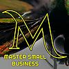 Master Small Business cover