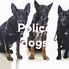 Police dogs