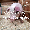 del Campo En El Campo