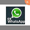 gb whatsapp plus yukle עטיפה