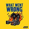 WHAT WENT WRONG portada