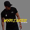 Words 2 Success cover
