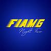 FIAMG Night Fever