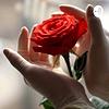 E Se naslovnica