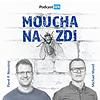 Moucha na zdi: Nový podcast HN o zákulisí českého byznysu