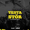 Testa Stör 커버