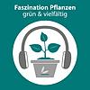Faszination Pflanzen — grün & vielfältig