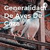 Generalidades De Aves De Caza
