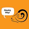 Qoydin mayi cover