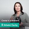 Cesta k uzdravení cover