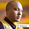 Selected Talks on Buddhism and Meditation by the Karmapa