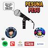 Pesuna Pesu