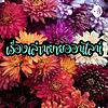 เรื่องเล่านิยายออนไลน์ ปก