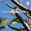 The Perinatal S P A C E omslag