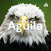 Aguila