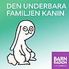 Den underbara familjen Kanin i Barnradion