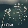 ERF Plus - Über das Loslassen