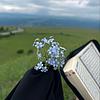 Vibes of Qur’an cover
