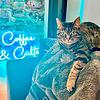 Coffee & Cults: Everything You Don't Know About Hollywood корица