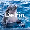 Delfin