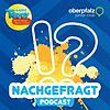Kinder-Podcast "Radio TEDDY-Nachgefragt"