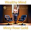 Wealthy Mind cover