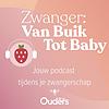Zwanger: Van Buik Tot Baby cover