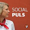 Social Puls cover