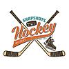 Snapshots in Hockey History