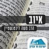 ספר איוב | הרב משה ליכטנשטיין