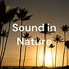 Sound in Nature Lite