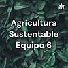 Agricultura Sustentable Equipo 6