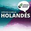Aprende holandés con LinguaBoost