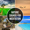 Nature Sounds