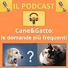 Cane&gatto: le domande più frequenti غلاف