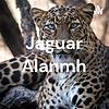 Jaguar Alanmh