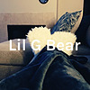 Lil G Bear