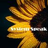 System Speak: Complex Trauma and Dissociation naslovnica