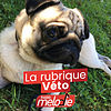 La rubrique Véto - Le Podcast