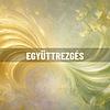 Együttrezgés borító